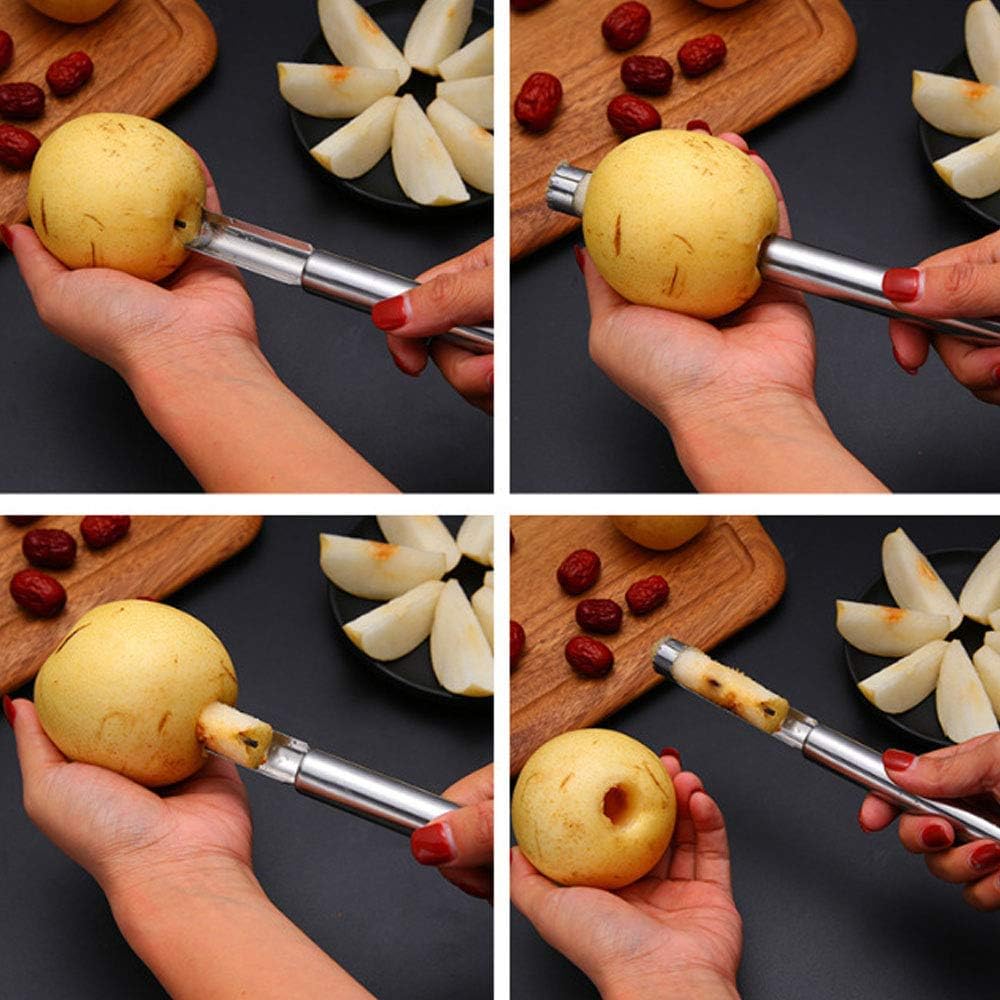 Stainless Steel Fruit Core Remover