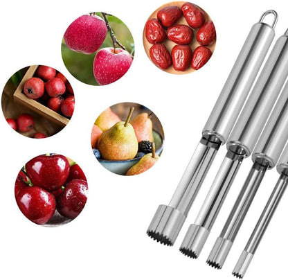 Stainless Steel Fruit Core Remover