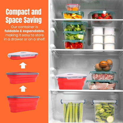 Pizza Storage Container With 5 Serving Trays
